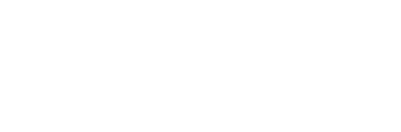 SKANDIX® logo